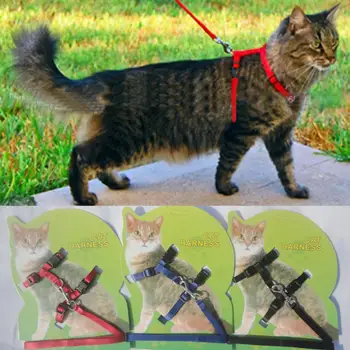 Katė Pakinktų Ir Pavadėlio Karšto Pardavimui, 5 Spalvos Nailono Produktai Gyvūnams Reguliuojamas Pet Traukos Diržas Diržas Cat Kitten Apynasrio Apykaklės