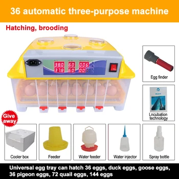 Fotosintezės kiaušinius mašina, kiaušiniai, automatinė mažas, ančių, žąsų, putpelių kiaušinių namų protingas inkubatorius balandžių inkubatorius