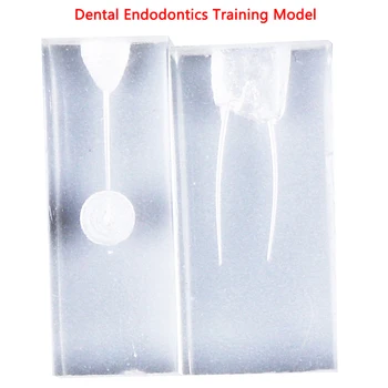 Dantų Endo Mokymo Blokuoti Endodontics Studentų Mokymo Modelį Praktikos Modelis Odontologija