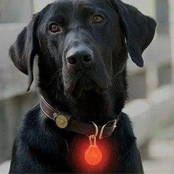 Pet LED Žibintuvėlis Apykaklės Naktį Saugos Šuo, Katė Vadovas Žibintai Žėrintis Pakabukas Karoliai Pet Šviesos Šviesios Apykaklės NE BATERIJA