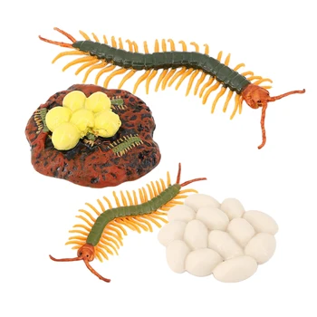 4Pcs Šimtakojis Augimo Pav Vabzdžių Gyvenimo Ciklo Modelį Mokslo Pažinimo Žaislas