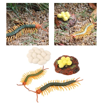 4Pcs Šimtakojis Augimo Pav Vabzdžių Gyvenimo Ciklo Modelį Mokslo Pažinimo Žaislas