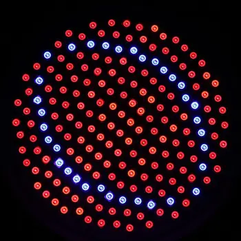 12W LED Grow Light E27 Raudona+Mėlyna 85-265V LED Hydroponic Auga Šviesos Lempos Bul Kambarinių Augalų Su Clip
