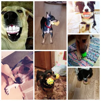 Guminiai Žaislai Šunims, Šunų Cypimas Žaislai Dideli, Maži Šunys Interaktyvus Pet Produktas Šunų Priedai Kramtyti Šuns Žaislai Pug Pitbull