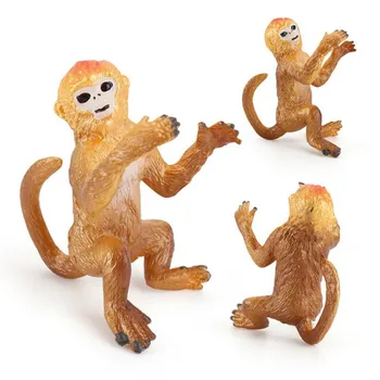 Modeliavimo Laukinių Gyvūnų Skaičius, Vaikams, Žaislai, Golden Monkey Modelio Papuošalus Mokymo Žaislai Mielas Mažai Dovana