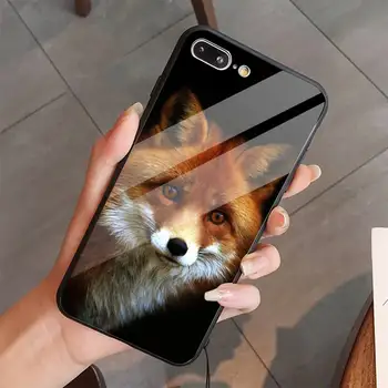 Fox mielas gyvūnas Telefono dėklas Grūdintas stiklas iphone 5C 6 6S 7 8 plus X XS XR 11 PRO MAX