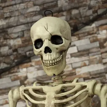 Visiškai Naujas Helovinas Poseable Gyvenimo Dydis Skeletas Šalies Prop Dekoro Žmogaus Anatomijos Modelis Šalies Švenčių PASIDARYK pats Apdailos