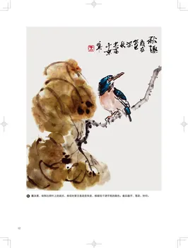 Tradicinis kinų gyvūnų ir Paukščių tapyba knyga pradedantiesiems ,Kinų menas piešimo knyga suaugusiems