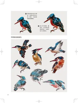 Tradicinis kinų gyvūnų ir Paukščių tapyba knyga pradedantiesiems ,Kinų menas piešimo knyga suaugusiems