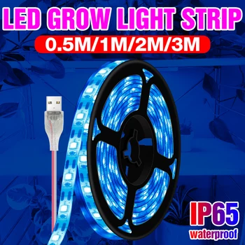 0,5 M 1M 2M 3M Augti Lempos Juostelės LED Augalų Šviesos USB 5V Šiltnamio efektą sukeliančių Augalų Lempos LED Gėlių Hydroponics Augimo Lampara LED Fitolampy