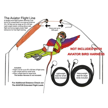 WSFS Karšto Naminių Paukščių Pakinktų ir Pavadėlio,Reguliuojamas Papūga Paukštis Panaudoti Pavadėlio - Pet Anti-Bitės Mokymo Virvę Lauko Plaukioja Balnai yra