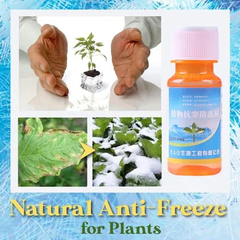 Natūralus Anti-Freeze Augalų Anti-Šaltas Antifrizas Antifreezing Agentas Gėlių, Vaisių, Augalų FOU99