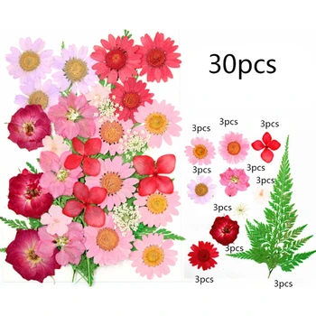 1 pakelis Džiovintų Gėlių UV Dervos Dekoratyvinių Natūralių Gėlių Lipdukai 3D Sausas Grožio Decal Epoksidinės Pelėsių 
