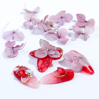 Sumaišykite Džiovintų Gėlių Nagų Papuošimai Papuošalai Natūralių Gėlių Lapų Lipdukai 3D Nagų Dailė Dizainas Amžinas gėlių, Džiovintų gėlių gręžimo