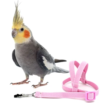 Naminių Paukščių Diržas Ir Diržo Reguliuojamas Papūga Paukštis Panaudoti Pavadėlio Pet Anti-Bitės Mokymo Virvę Lauko Skrydžio Mokymo Reikmenys