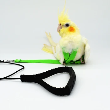 Naminių Paukščių Diržas Ir Diržo Reguliuojamas Papūga Paukštis Panaudoti Pavadėlio Pet Anti-Bitės Mokymo Virvę Lauko Skrydžio Mokymo Reikmenys