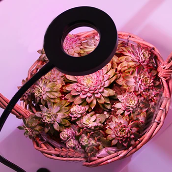 JY-VE LED Augalų Užpildyti Šviesos Pilno Spektro Augimo Lempos Gėlė, Orchidėja, Mėsingos Bonsai Darbalaukio Įrašą
